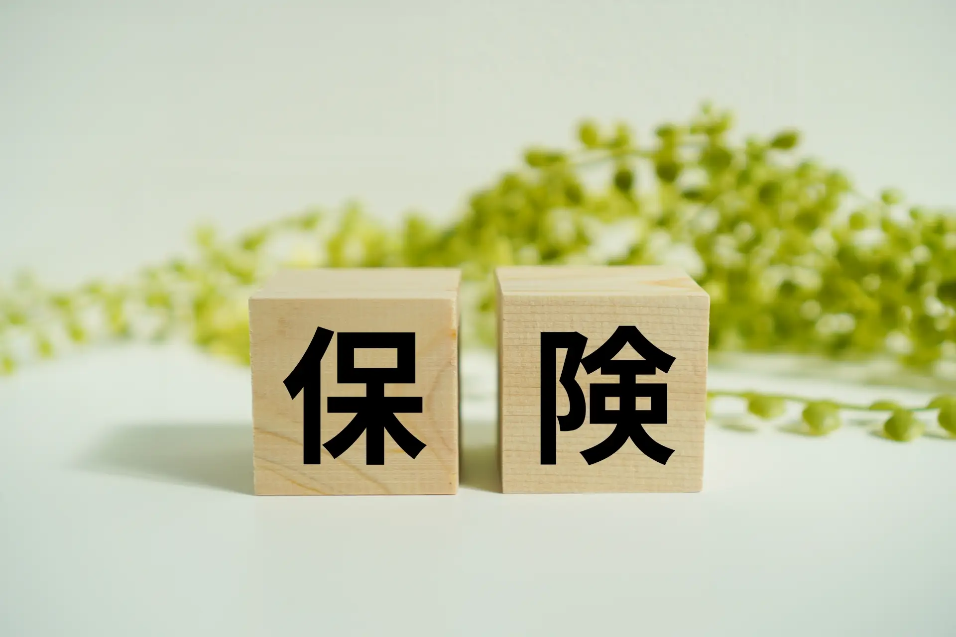 社会保険と国民健康保険、何が違う？知らないと損する制度の仕組み